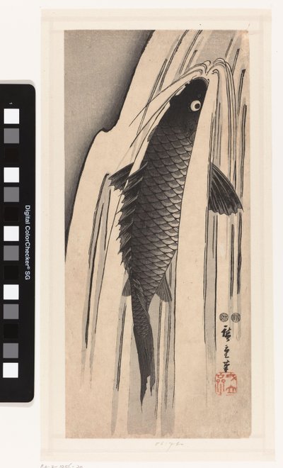 Carp Swimming Upstream Against a Waterfall by Hiroshige (I) , Utagawa