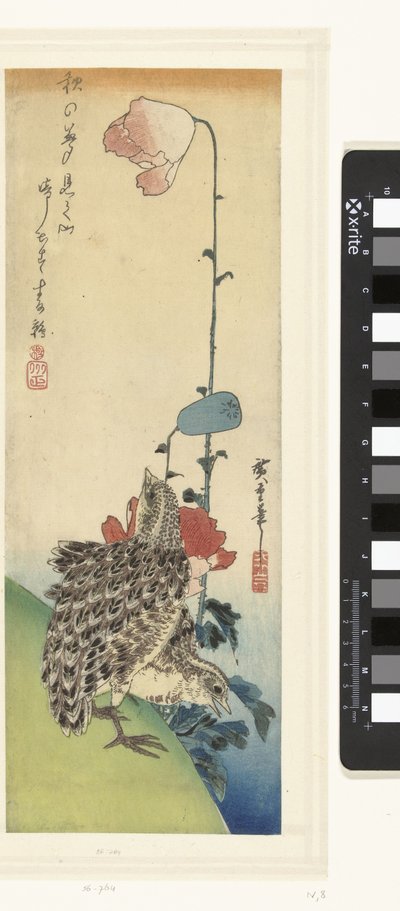 Quails and Poppies by Hiroshige (I) , Utagawa