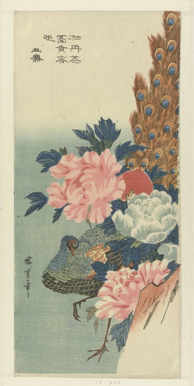 Peacock and Peonies by Hiroshige (I) , Utagawa