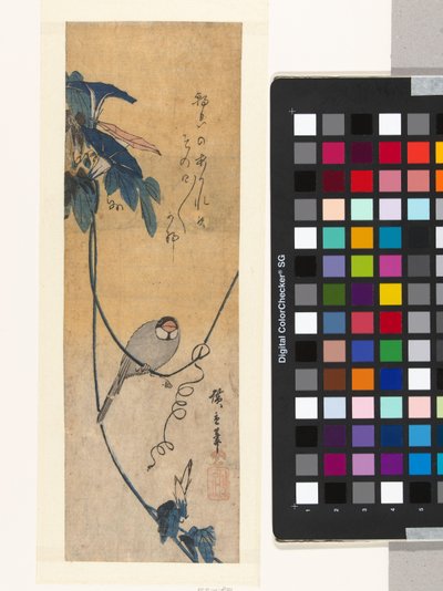 Bird and Blue Morning Glory by Hiroshige (I) , Utagawa