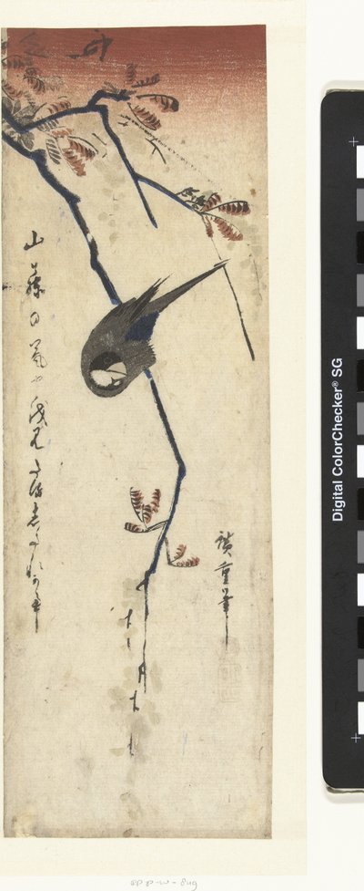 Bird and Wisteria by Hiroshige (I) , Utagawa