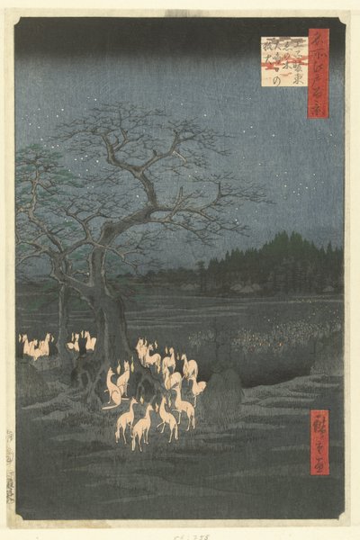 Fox Fires on New Year