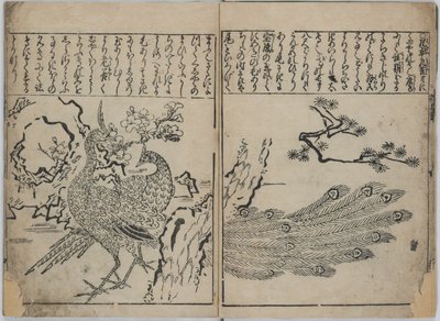 A Collection of Flowers and Birds by Hishikawa Moronobu