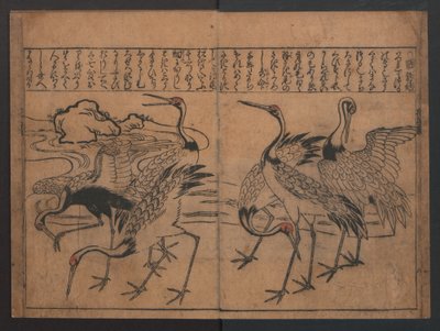 Illustrations of birds and flowers (Kachō e-zukushi) by Hishikawa Moronobu