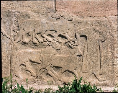 View of the base of reliefs of the Gate of the Sphinx by Hittite Hittite
