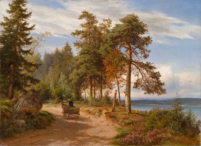 Untitled by Hjalmar Munsterhjelm
