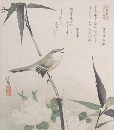 Roses and Bamboo with Nightingale by Hokuba