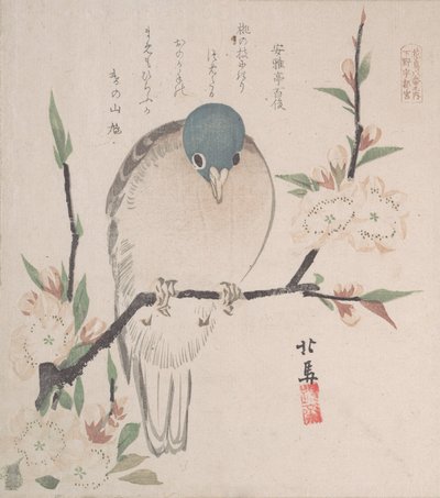 Spring Rain Collection Harusame Shu, vol. 3: Mountain Dove and Peach Flowers by Hokuba