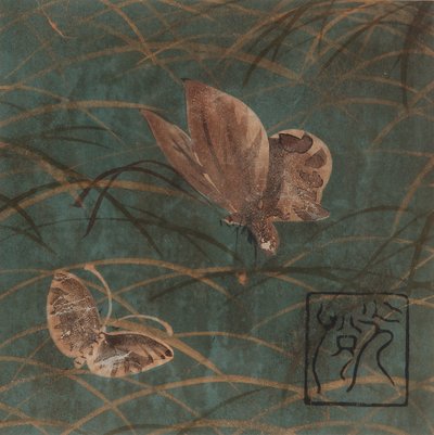 Butterflies and grasses, Edo period, early 17th century by Hon