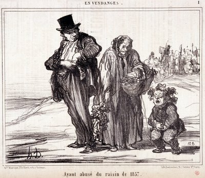 Cartoon on Viticulture. Series 