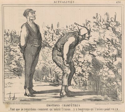 I Must See How the Grapes Ripen by Honoré Daumier