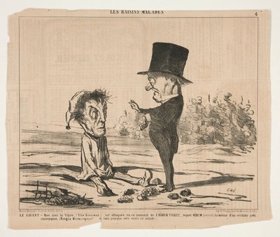 The Scholar - My friend, the Vine (Vitis Linnaeus), is currently attacked by Honoré Daumier