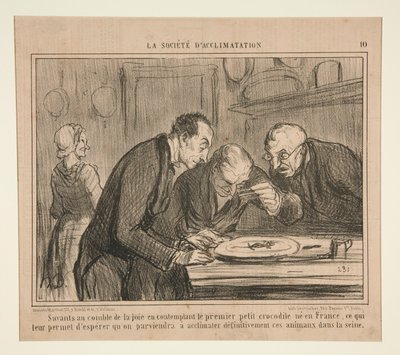 Scholars at the Height of Joy Contemplating the First Little Crocodile by Honoré Daumier
