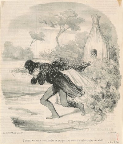A Gentleman Who Wanted to Study... the Habits... of Bees by Honoré Daumier