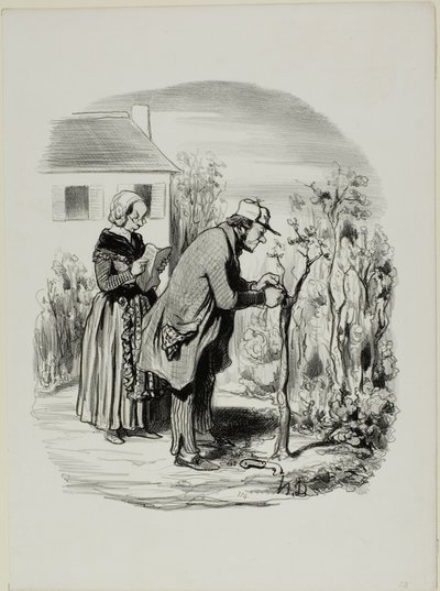 “- My graft of a cherry slip on an apricot tree really didn