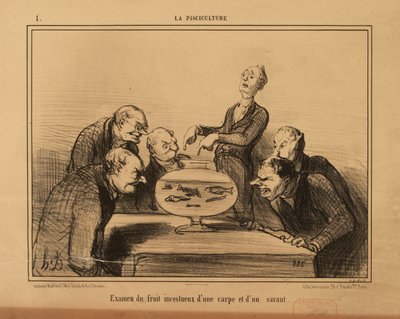 Fish Farming No. 1: Examination of the incestuous offspring of a carp and a scholar. by Honoré Daumier
