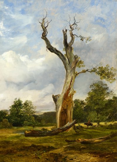 The Blasted Tree, c.1838 by Horatio McCulloch
