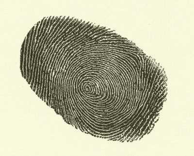 Fingerprint by Hugh Rowley