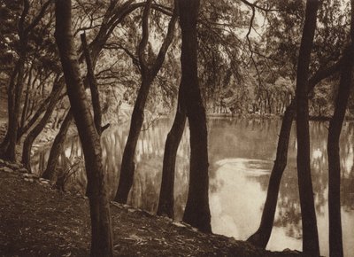 Mexico: The fountains of Tlalpam D.F. by Hugo Brehme
