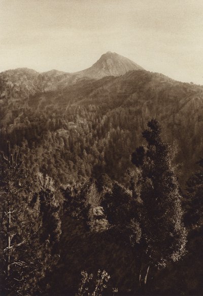 Mexico: Nevado de Colima, Partial View by Hugo Brehme