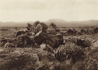 Mexico: Pedregal, Basalt-Lava Stream near San Angel by Hugo Brehme