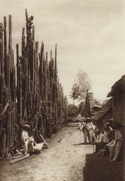 Mexico: Santiago, Characteristic Village Street with Columnar Cacti by Hugo Brehme