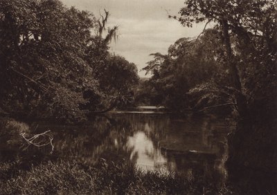 Mexico: Tamasopo, River Panorama, Veracruz State by Hugo Brehme