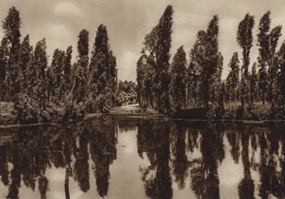Mexico: Xochimilco with the so-called "Floating Gardens" by Hugo Brehme