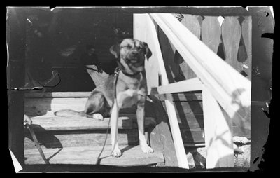 Balu on the Steps of the Pink Villa by Hugo Simberg