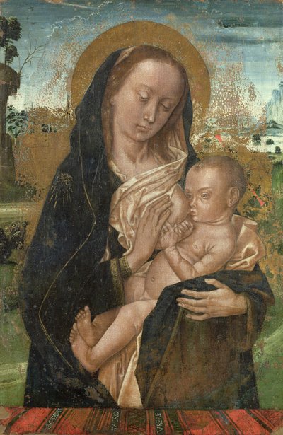 The Virgin Mary Quieting the Baby Jesus by Hugo van der studio of Goes