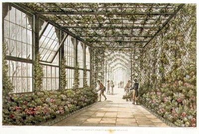Corridor of a Conservatory, Engraved by Joseph Constantine Stadler from 