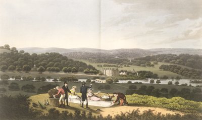 General View of Longleat from the Prospect Hill, from 