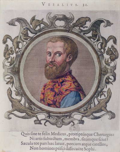 Portrait of Andreas Vesalius from Receuil des Portraits de Medecins by the Hungarian Doctor, Sambucus by Hungarian School