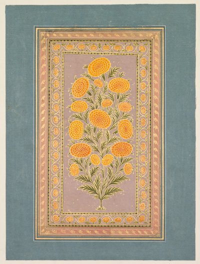 Flowering Marigold by Hunhar II