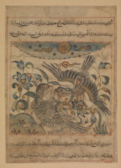Pair of Eagles, Folio from a Manafi