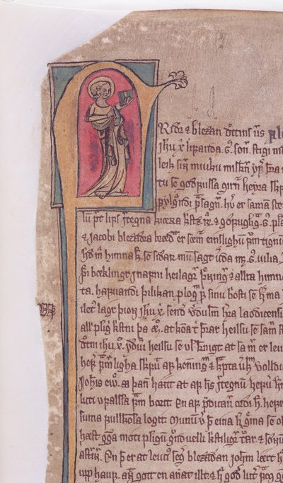 Historiated initial at the beginning of The Saga of the Two Apostles John and Jacob, from Codex Scardensis, c.1360 by Icelandic School
