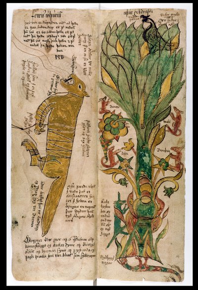 The Wolf Fenrir and the World-Tree Yggdrasil, 1680 by Icelandic School