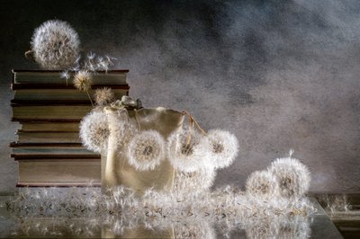 Delicate Dandelion Still Life by Igor Kopcev