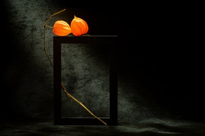 Glowing Physalis Frame by Igor Kopcev