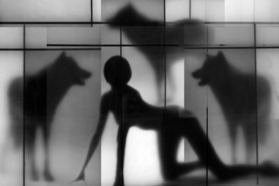 Woman and Wolf Shadows by Igor Shrayer