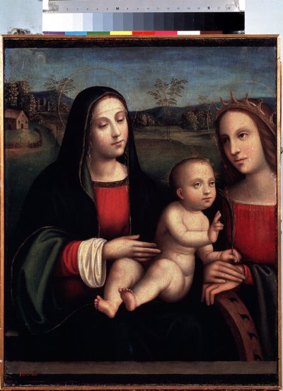 Virgin and Child with Saint Catherine of Alexandria by Il  Francia