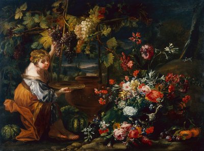 Young Girl Picking Grapes by Il and Brueghel Abraham Borgognone