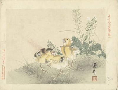 Three Chicks (Flower and Bird Sketches by Keinen) by Imao Keinen