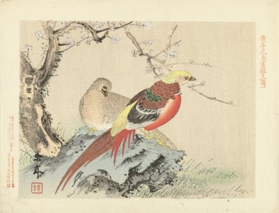 Pair of Pheasants on Rock by Imao Keinen