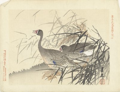 Two Geese Among Reeds by Imao Keinen