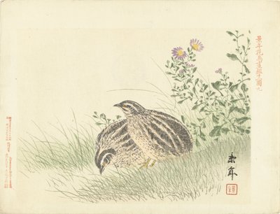 Two Quails by Imao Keinen