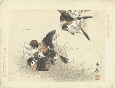 Five Sparrows Fighting by Imao Keinen
