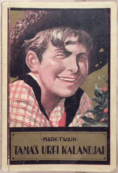Book Cover of a Hungarian Translation of 