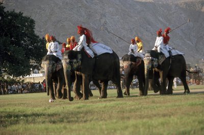 Men Playing Elephant Polo by Indian Photographer