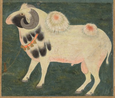 A Royal Ram with a Gold Chain, c. 1585 by Indian School